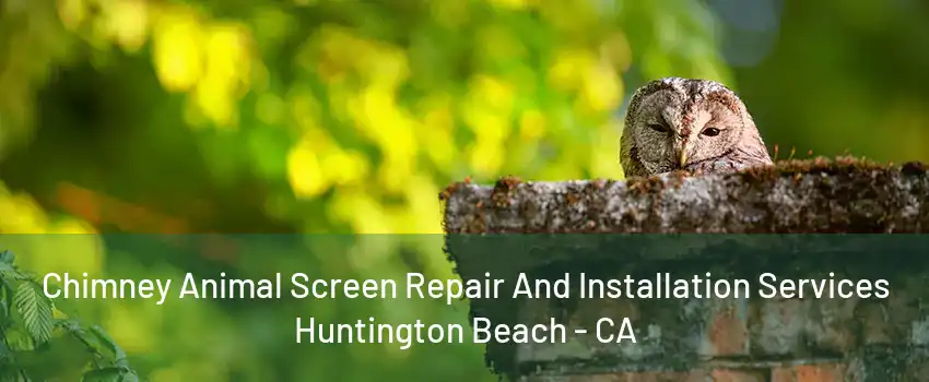 Chimney Animal Screen Repair And Installation Services Huntington Beach - CA