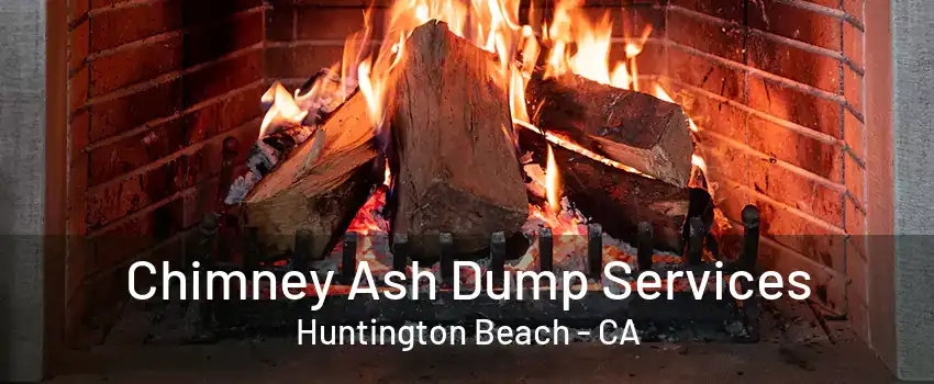 Chimney Ash Dump Services Huntington Beach - CA